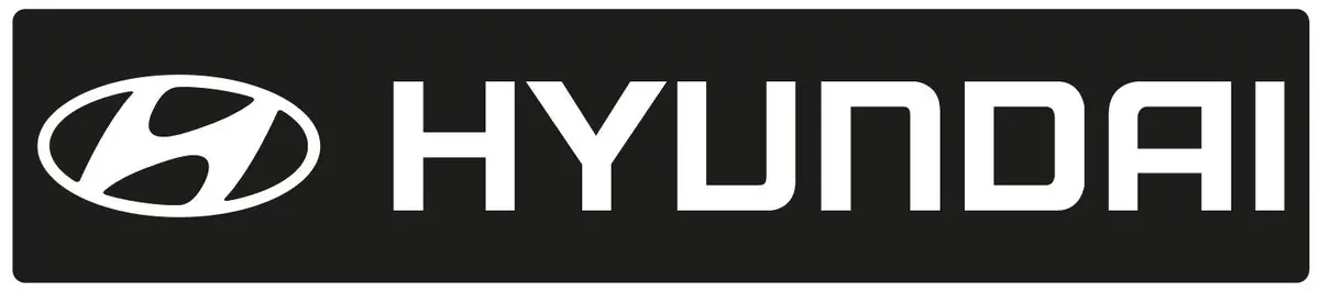 Cache Plaque Hyundai - Réf Hyundai02cp 1