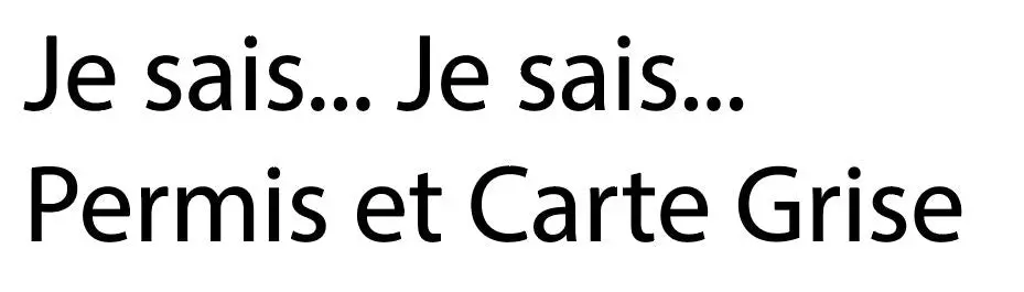 Je Sais... Je Sais... Permis Et Carte Grise - Ref : Jesaisjesaispermisetcartegrise01 1