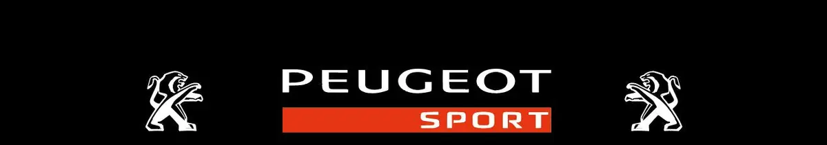Bande Pare Soleil Peugeot - Réf Peugeot04 1