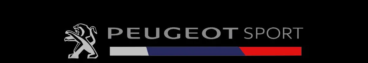 Bande Pare Soleil Peugeot - Réf Peugeot07 1