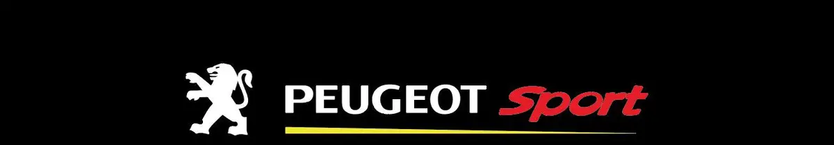 Bande Pare Soleil Peugeot - Réf Peugeot09 1