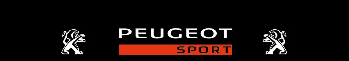 Bande Pare Soleil Peugeot - Réf Peugeot12 1