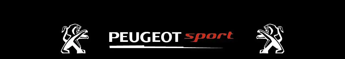 Bande Pare Soleil Peugeot - Réf Peugeot15 1