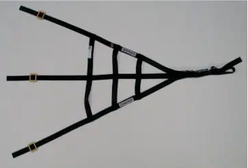 Ultra Shield Sfi Triangular Center Net 1