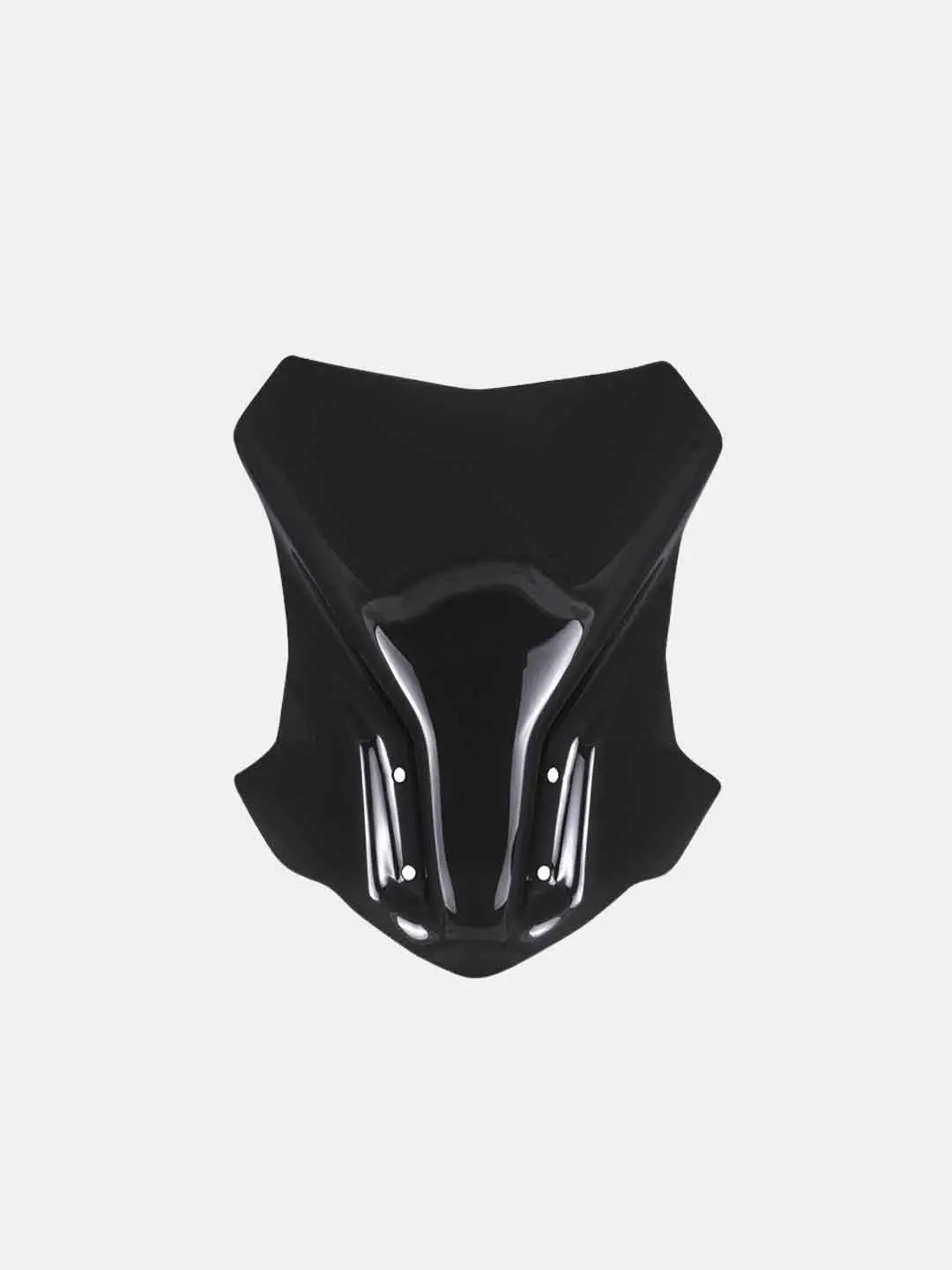 Bmw G 310 Gs Touring Windshield 3