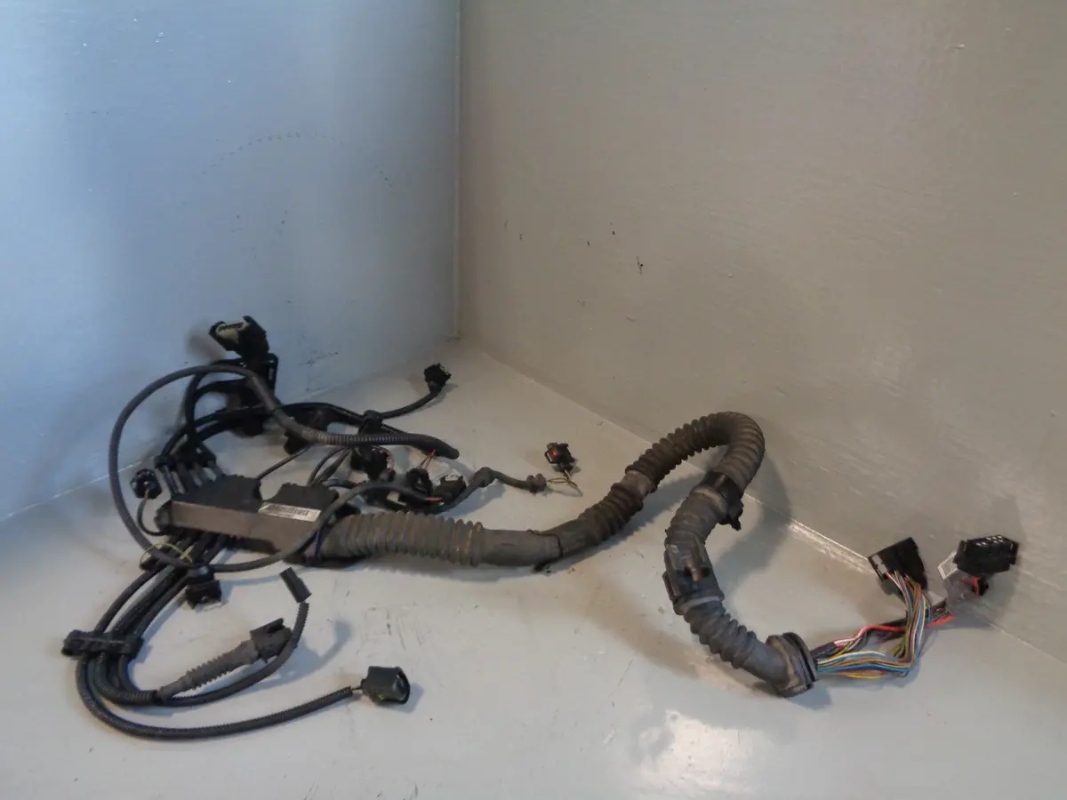 Freelander 1 Engine Wiring Loom 2.0 Td4 Land Rover 2001 To 2006 R30055 1