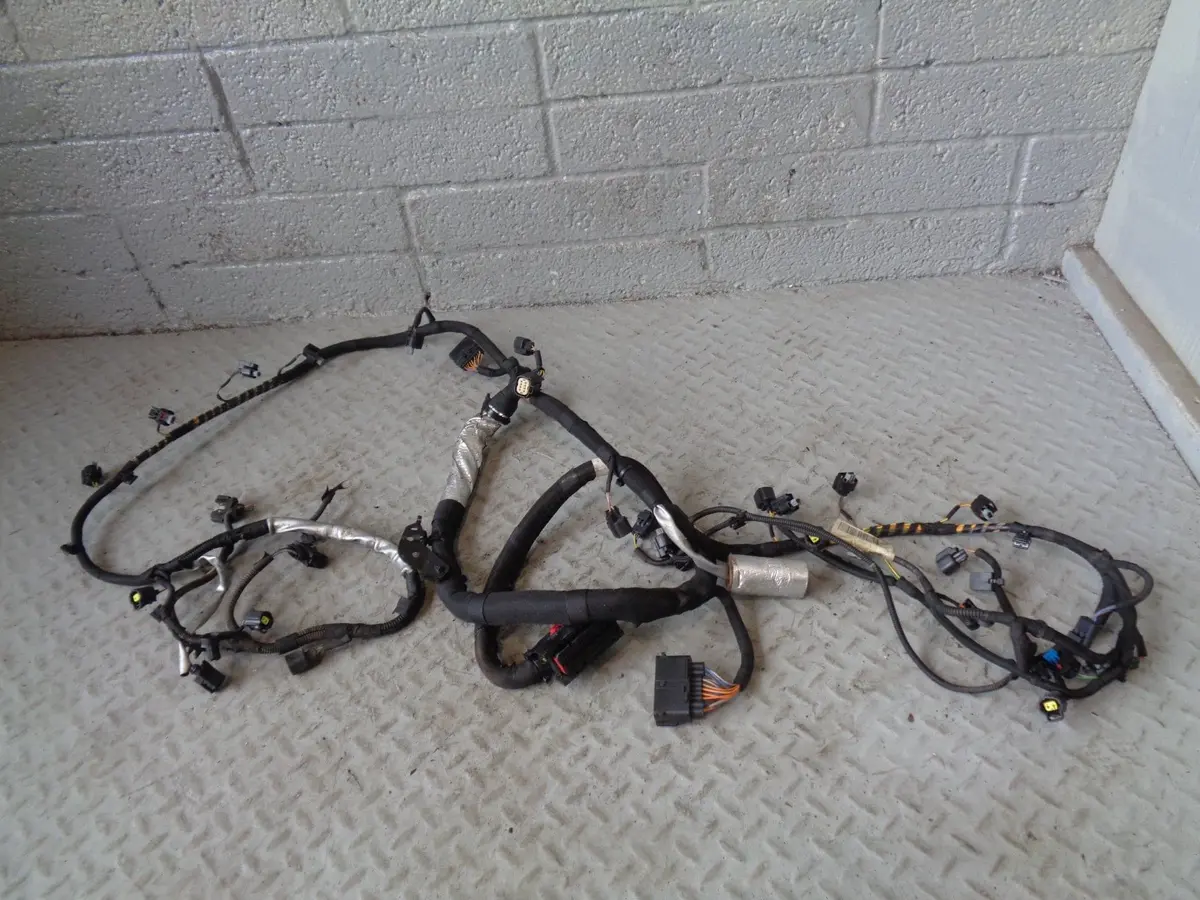Range Rover L322 Engine Loom Complete Tdv8 4.4 6H4q Ah4q-9H589-Ah 2010 To 2013 1