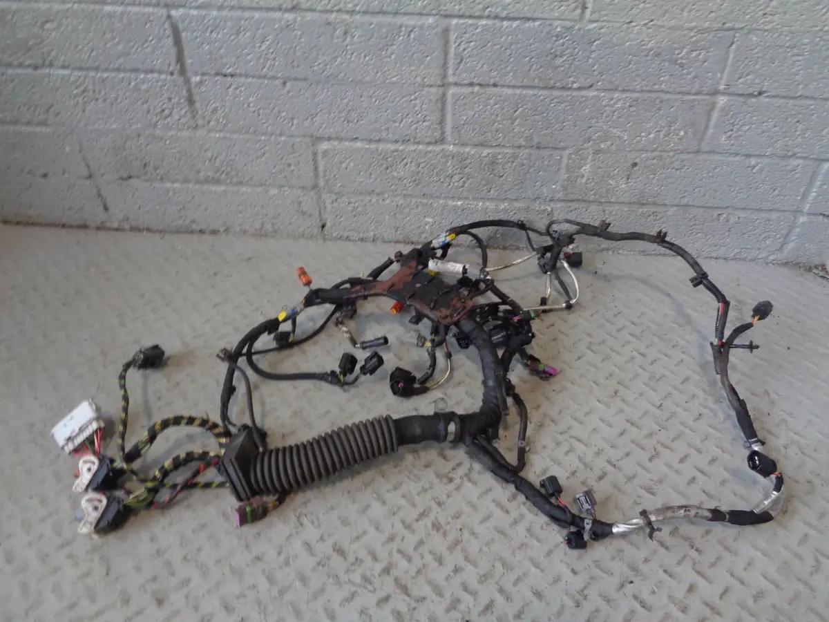 Range Rover L322 Engine Loom Complete Tdv8 3.6 8H4q-9H589 2006 To 2009 1