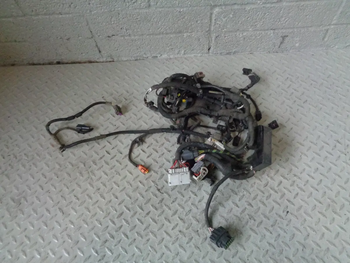Range Rover Sport Engine Loom Complete Tdv8 3.6 8H3q 9H589 Ab 2006 To 2010 1