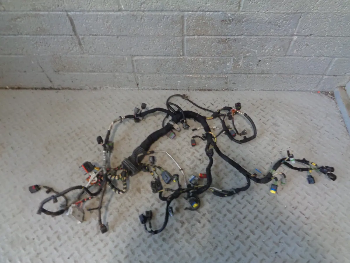 Range Rover L322 Engine Loom Complete Tdv8 3.6 2006 To 2009 R30015 1