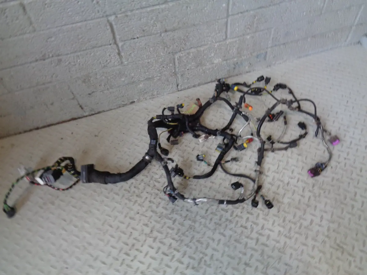 Range Rover L322 Engine Loom Complete Tdv8 3.6 6H4q 9H589 Af 2006 To 2010 1