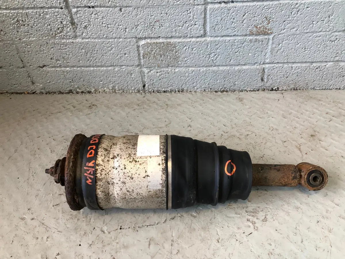 Discovery 3 Rear Suspension Airbag Shock Strut Land Rover Rpd000308 D17036 1