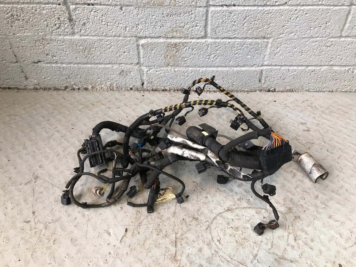 Range Rover L322 Engine Loom Complete Tdv8 4.4 6H4q Ah4q-9H589-Af 2010 To 2013 1