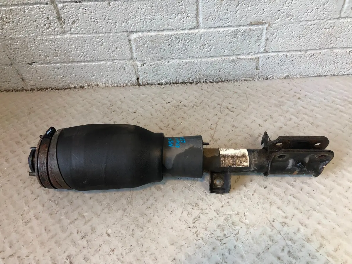 Range Rover L322 Air Suspension Strut Near Side Front 28107580 2006 To 2010 1